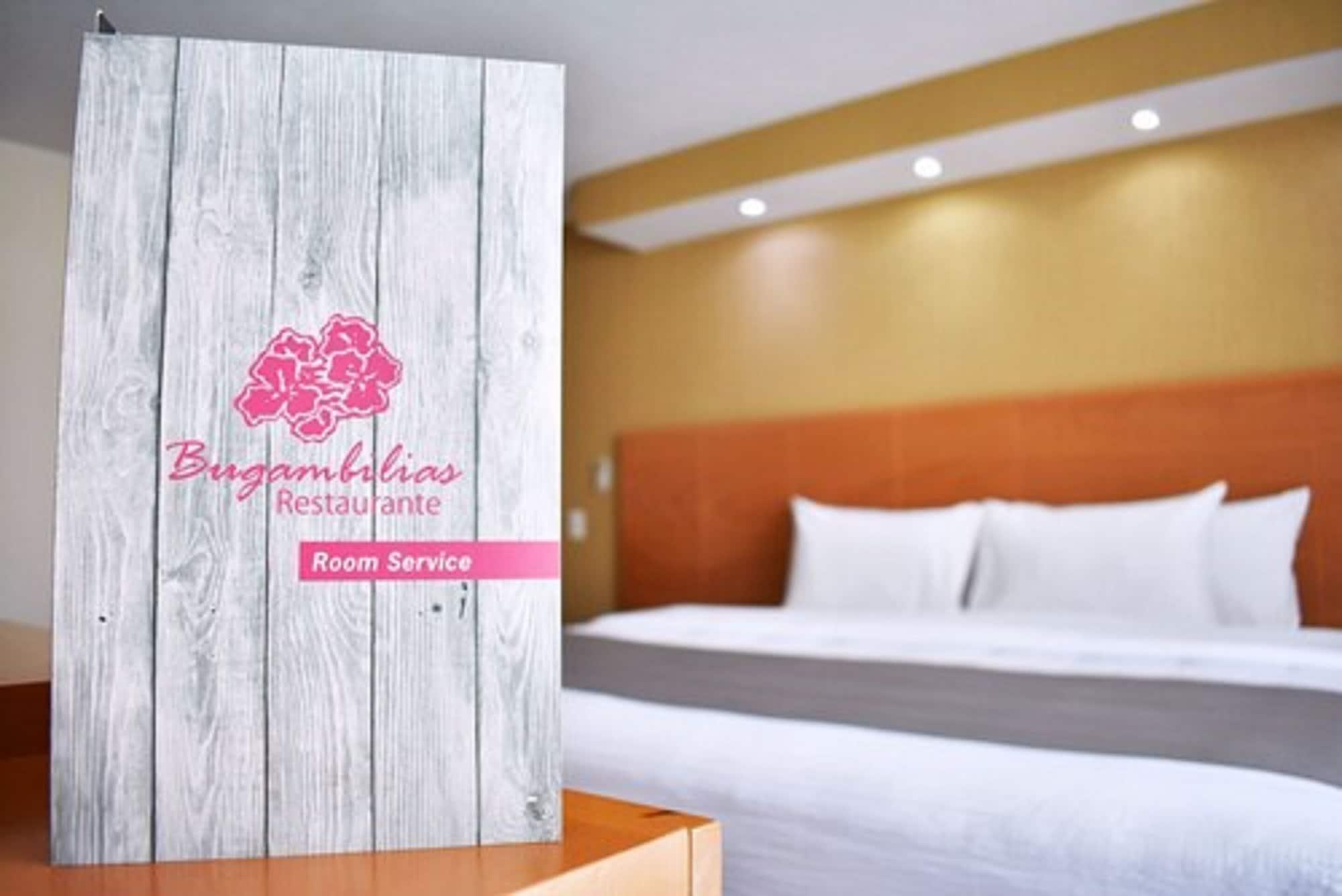 La Posada Hotel Y Suites سان لويس بوتوسي المظهر الخارجي الصورة