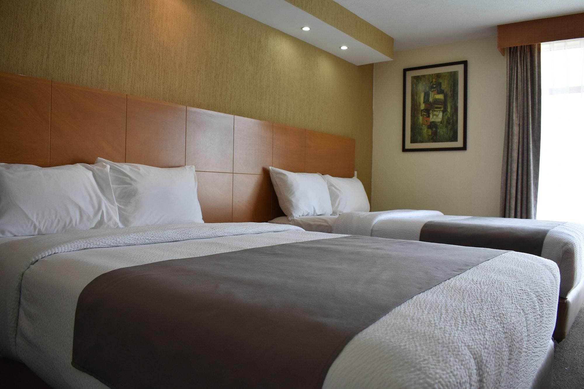 La Posada Hotel Y Suites سان لويس بوتوسي المظهر الخارجي الصورة