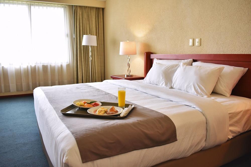 La Posada Hotel Y Suites سان لويس بوتوسي المظهر الخارجي الصورة