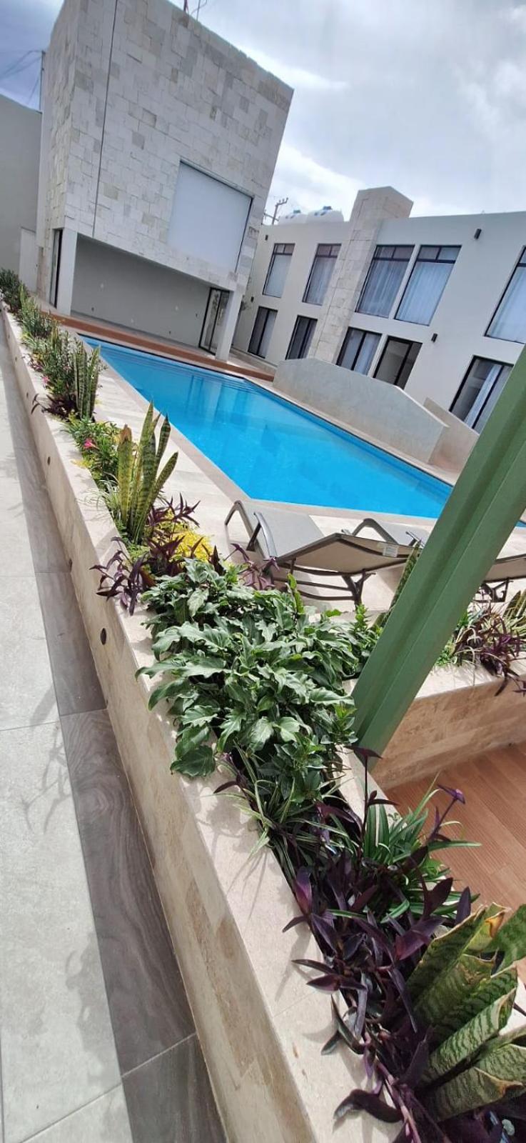 La Posada Hotel Y Suites سان لويس بوتوسي المظهر الخارجي الصورة